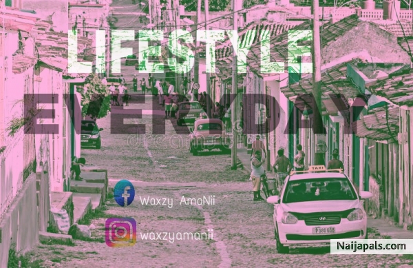 Lifestyle Everyday
