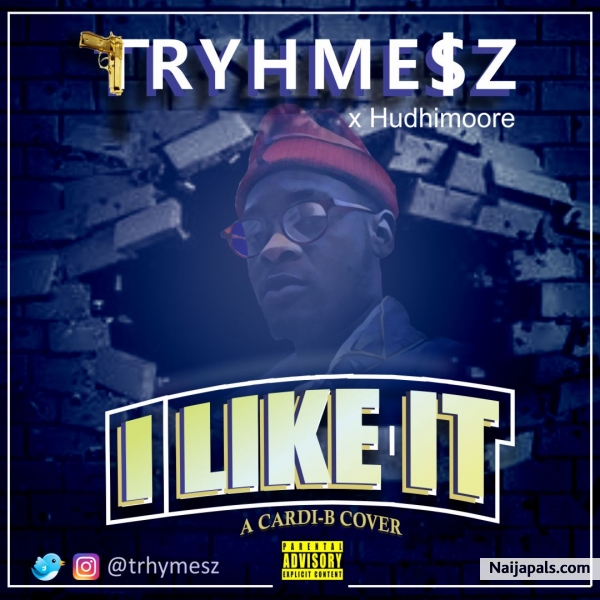 I LIKE IT (cover)_Trhymesz