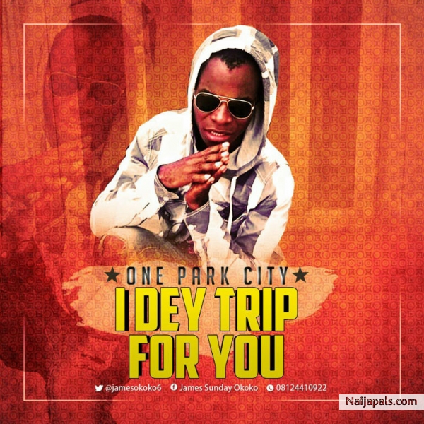 i dey trip for you