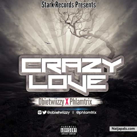 Crazy Love (Ft. Phlamtrix)