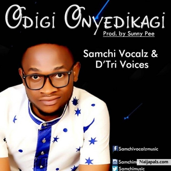 Odigi onyedikagi