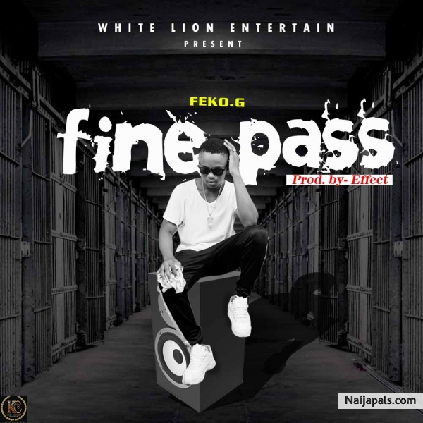 fine pass
