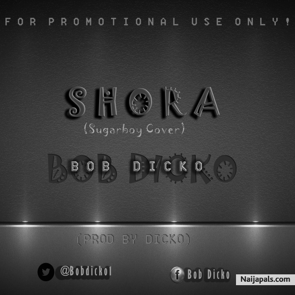 Shora (sugarboy cover)