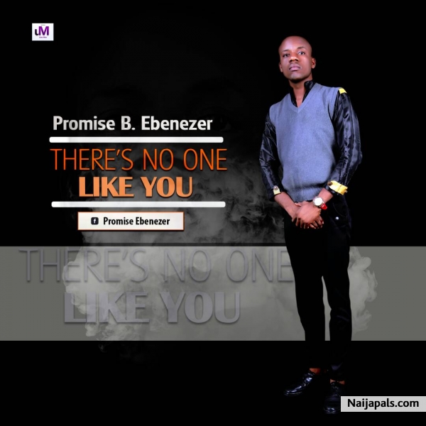 there' s no one like you