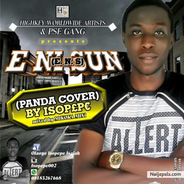 Panda Cover