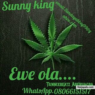 Ewe Ola