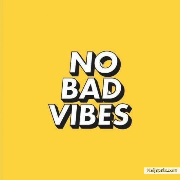 No Bad Vibes