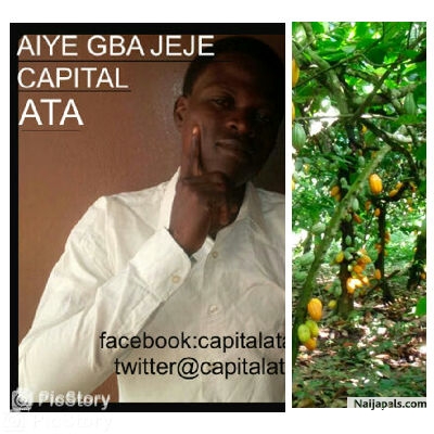AIye gba jeje