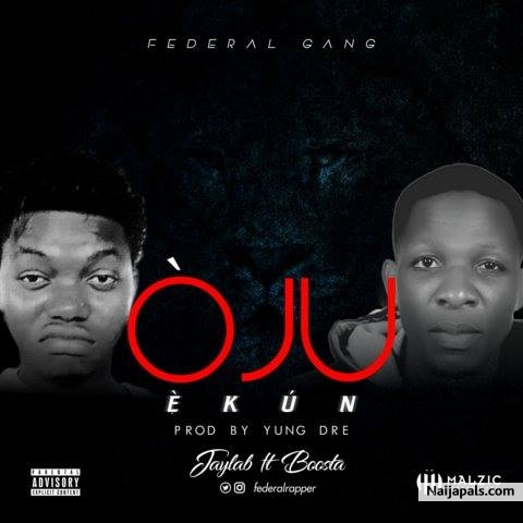 Oju ekun