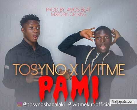 PAMI
