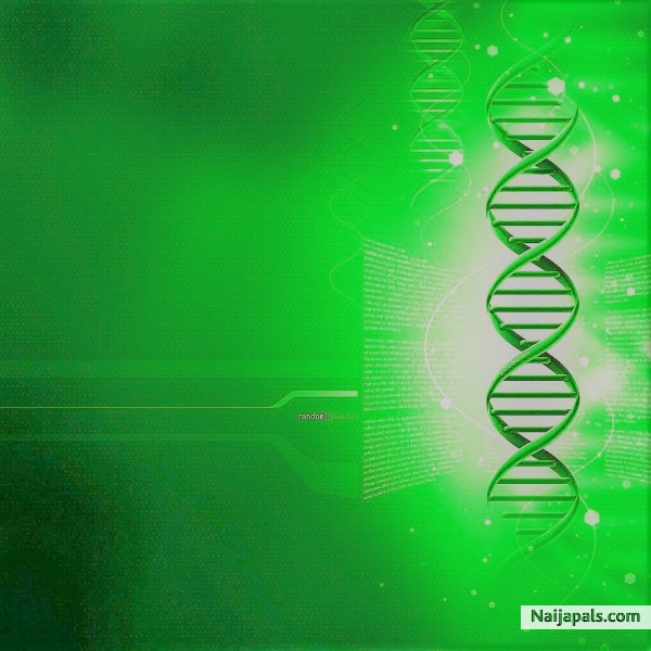 DNA divine natural ability