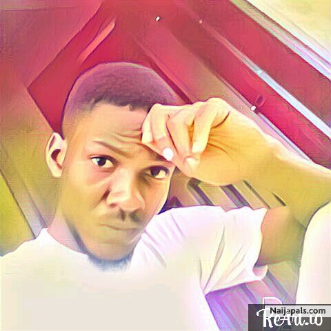 freestyle no paper