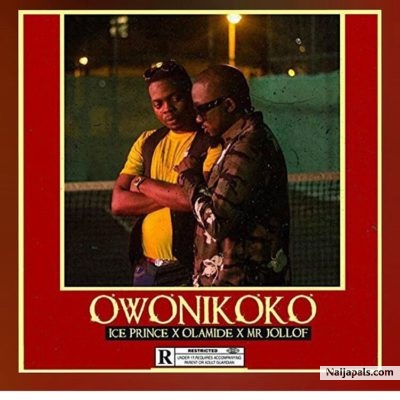 Owonikoko