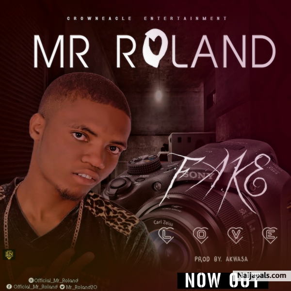 fake love by roland