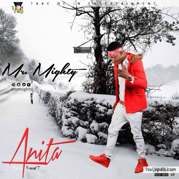 Mr. Mighty - Anita