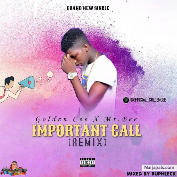 Important call (cover)