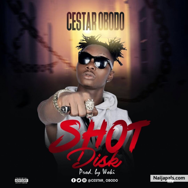Shot Diss(prod by Woki)