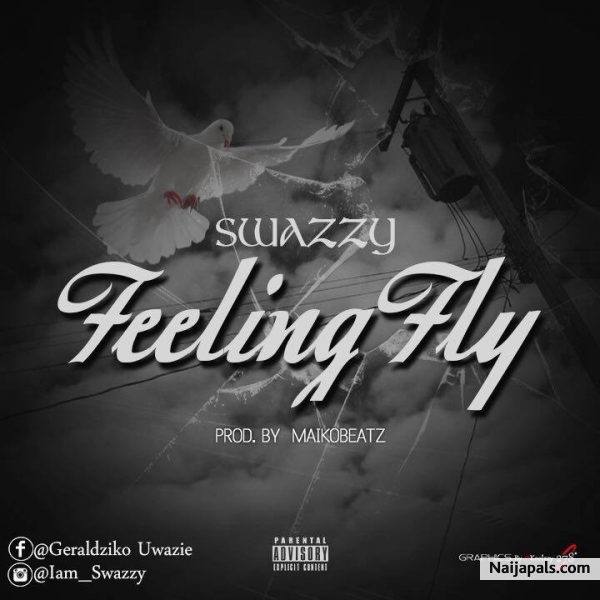 Feeling Fly