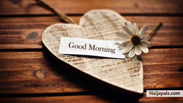 Good Morning