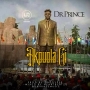 Dr Prince || @dr_prince