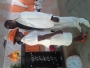 prophet pastor oluyehun