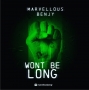 Marvellous Benjy