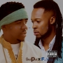 flavour X skilpol
