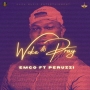 Emco X Perruzi