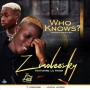 Zinoleesky ft Lil Frosh