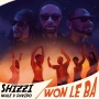 Shizzi x Davido x Wale
