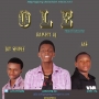 HG ft (Dammy , Skineejay , Fas)