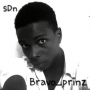 Bravoprinz