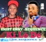Sequence FT Enizy