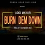 BURN DEM DOWN_Prod. Enzyme Dee beatz