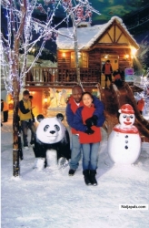 Picture