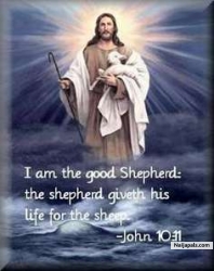 The good shephered