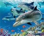 deep blue sea