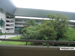 My school