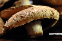 my mushrooms
