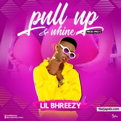 Pull up and whine by Lil Bhreezy