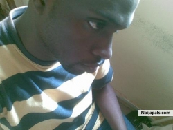 bayo it 