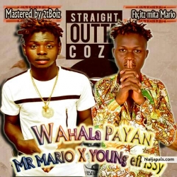 Wahala payan by Mr.mario ft Yung effissy