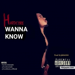 Wanna know by Hardcore