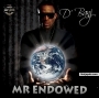 DJ STUPID BLEND REMIX D BANJ (MR Endowed) by D BANJ