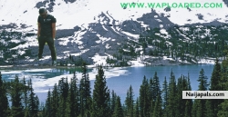 sunnex fidelis (waploaded11)
