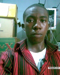 kingsley korie