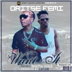Want It  by Oritse Femi Ft. Shatta Wale ( Prod. B Laylow)