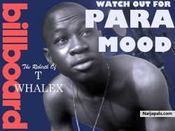 para mood by twhalex