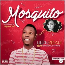 Mosquito by Hephzibah 