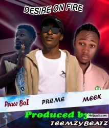 Desire on fire mixed by teemzybeatz by Preme x Meek & peaceboi